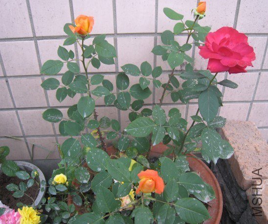 QQͼƬ20130508150058.jpg
