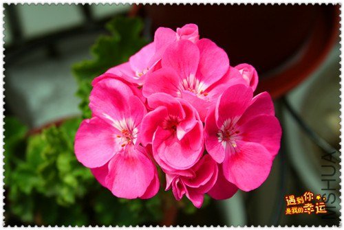 ��Ƭ 181_����.jpg