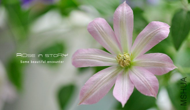 �����餵����Solweig (1).jpg