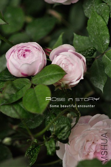 Mme Pierre Oger (7).jpg