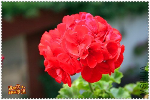 ��Ƭ 177_����.jpg