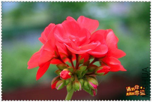 ��Ƭ 179_����.jpg