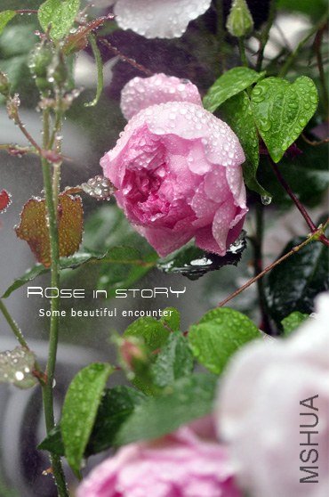 The Ingenious Mr Fairchild�ƶ�����2.jpg