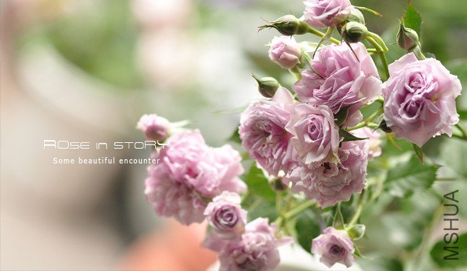 ��˹�Ǳ� �ϥ����ƥ�ܥ� (4).jpg