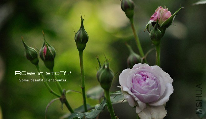 ��˹�Ǳ� �ϥ����ƥ�ܥ� (1).jpg