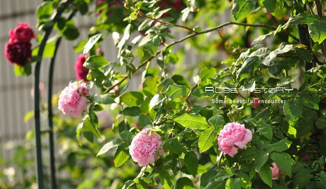 ���϶� (2).jpg