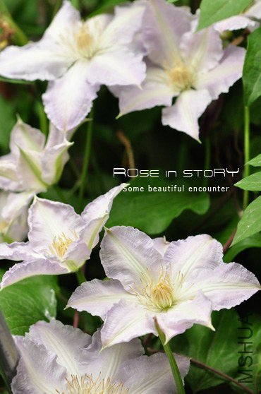 Gillian Blades ��Ƭ (1).jpg