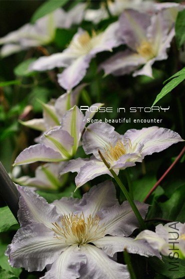 Gillian Blades ��Ƭ (2).jpg