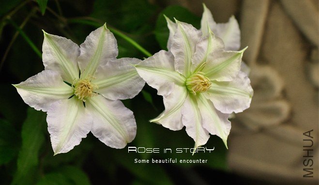 Gillian Blades ��Ƭ (3).jpg