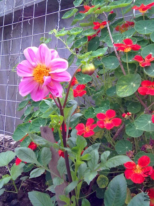 ��Ƭ 038.jpg