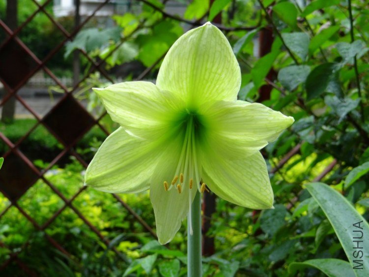 DSC01051_conew1.jpg