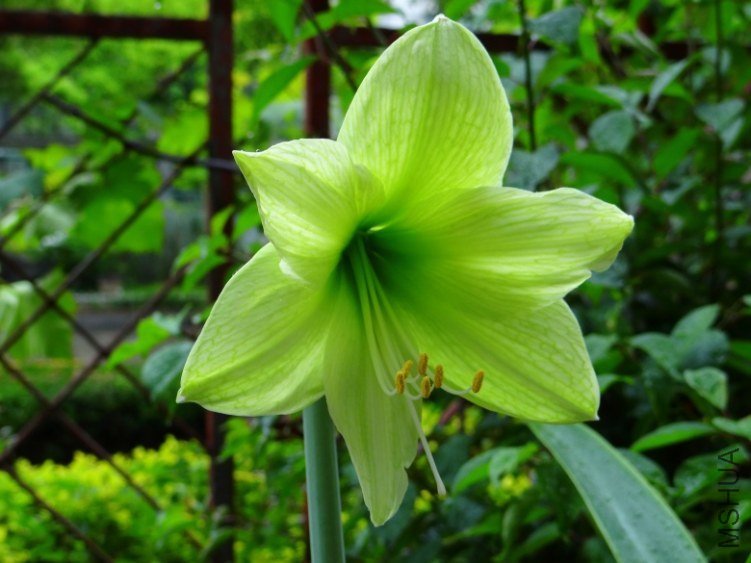 DSC01057_conew1.jpg