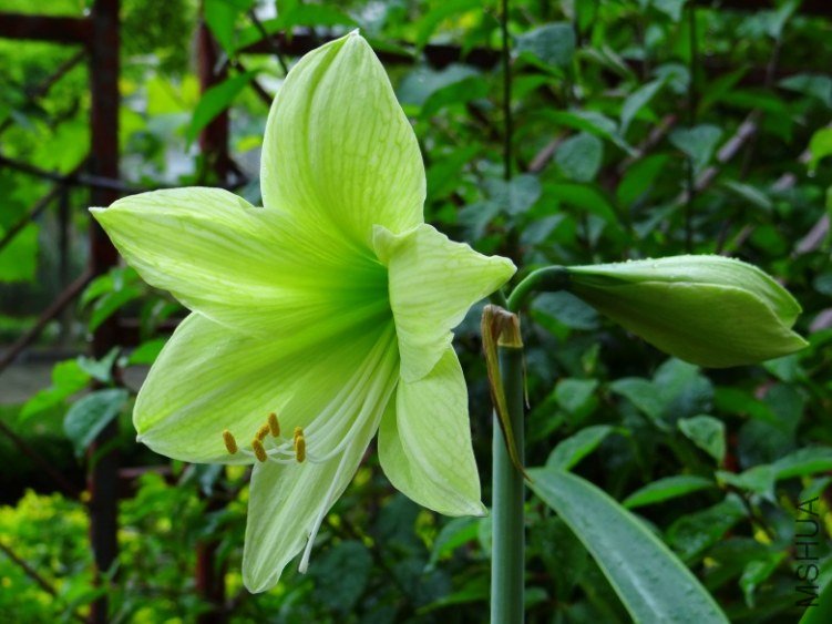 DSC01060_conew1.jpg