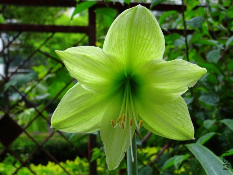 DSC01065_conew1.jpg