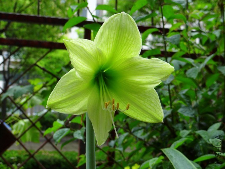 DSC01059_conew1.jpg