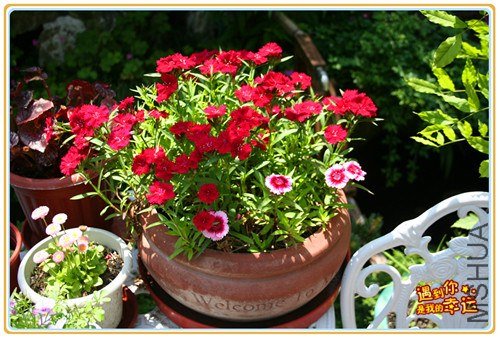 ��Ƭ 075_����.jpg