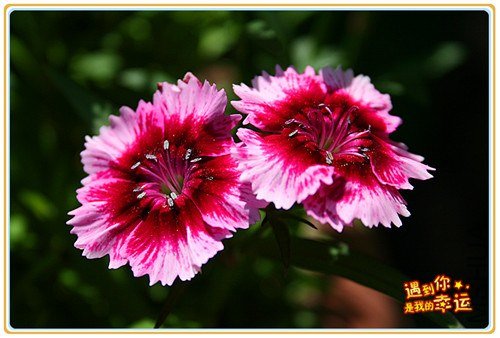 ��Ƭ 077_����.jpg