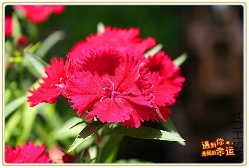 ��Ƭ 078_����.jpg