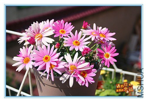 ��Ƭ 010_����.jpg