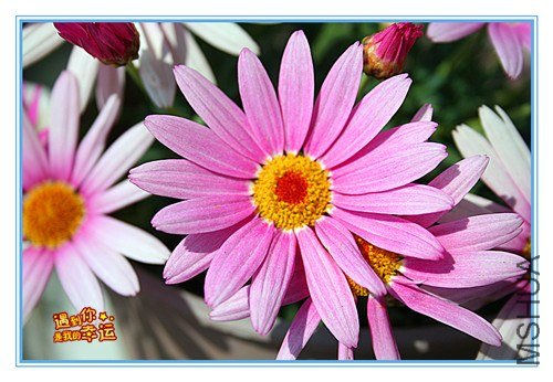 ��Ƭ 013_����.jpg