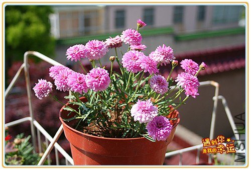 ��Ƭ 014_����.jpg