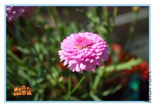 ��Ƭ 018_����.jpg