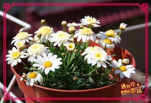 ��Ƭ 019_����.jpg