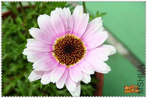 ��Ƭ 023e_����.jpg