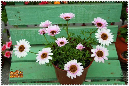 ��Ƭ 023a_����.jpg