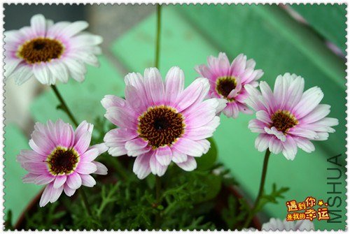 ��Ƭ 023b_����.jpg