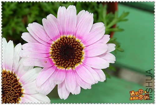 ��Ƭ 023c_����.jpg