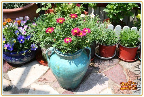 ��Ƭ 113_����.jpg