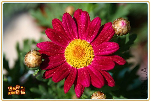 ��Ƭ 119_����.jpg