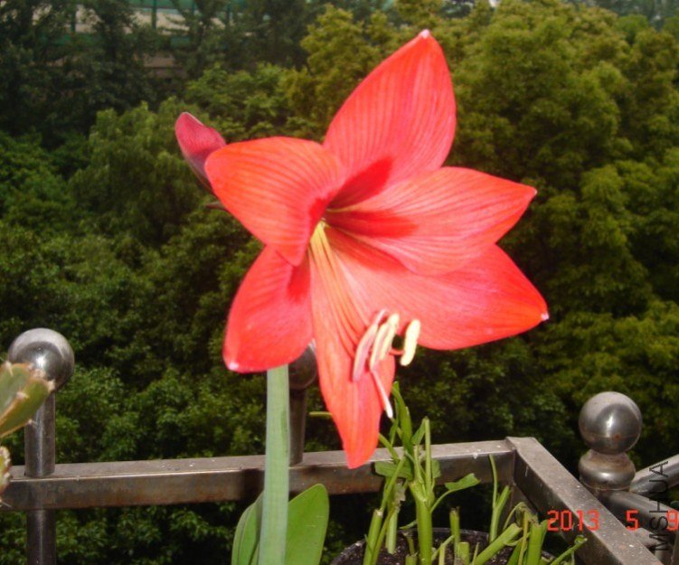 QQ��ͼ20130509174116.jpg