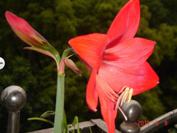 QQ��ͼ20130509175215.jpg