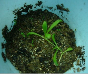 360����С���ֽ�ͼ20130509213806 - ����.jpg