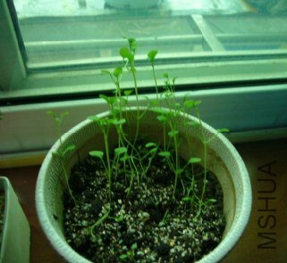 360����С���ֽ�ͼ20130509213745 - ����.jpg