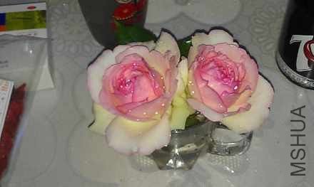 5d7495a3jw1e4iqcvdq2wj20qn0fy3z8.jpg