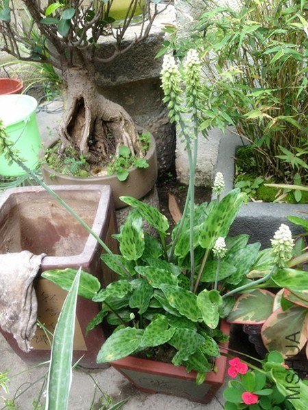 ��Ƭ 004_����_����.jpg