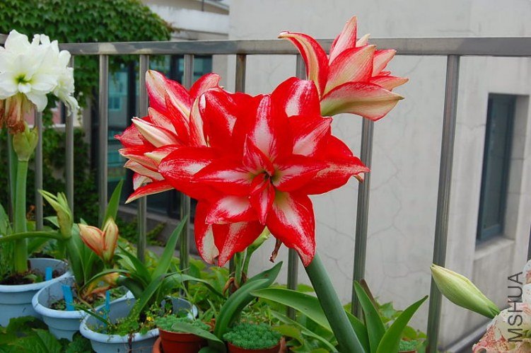 DSC_00260026.JPG