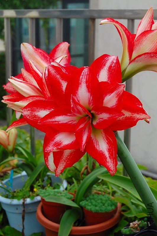 DSC_00240024.JPG