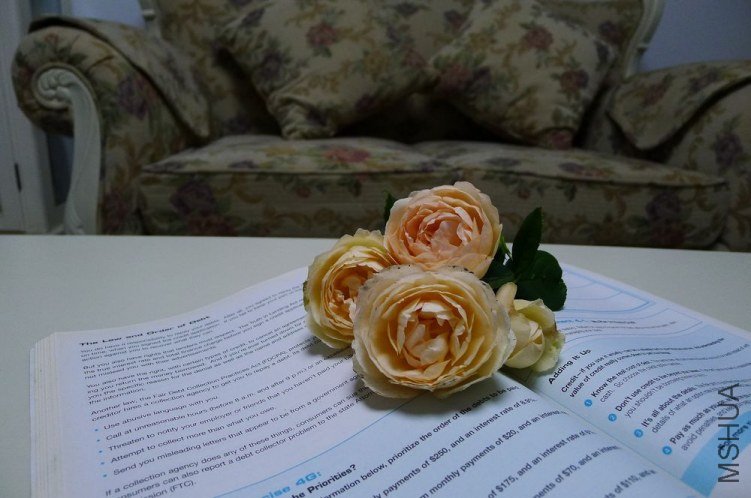 P1130709.jpg