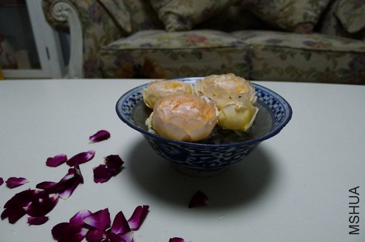 P1130713.jpg
