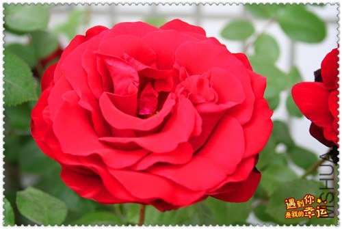 ��Ƭ 078_����.jpg