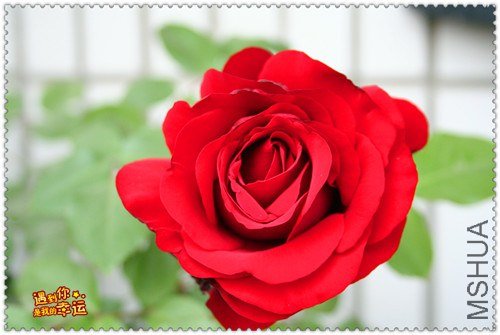 ��Ƭ 080_����.jpg