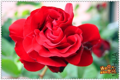 ��Ƭ 082_����.jpg