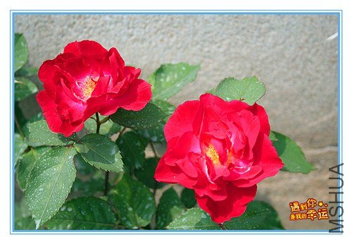 ��Ƭ 134_����.jpg