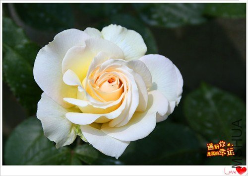 ��Ƭ 131_����.jpg