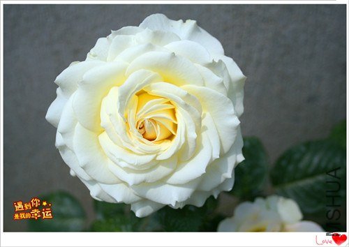 ��Ƭ 132_����.jpg