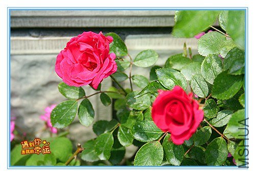 ��Ƭ 140_����.jpg